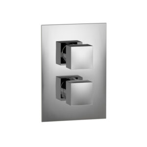 Thermostatic valve + 2 way diverter