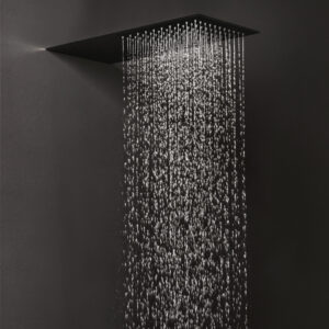 Evone wall mounted shower head